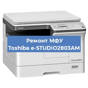 Замена прокладки на МФУ Toshiba e-STUDIO2803AM в Екатеринбурге